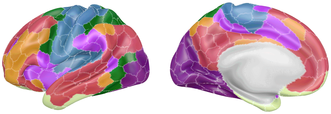 Lateral and medial views of the left inflated hemisphere coloured by the seven Yeo networks, with thin white lines between the Schaefer parcels; the medial wall is light grey