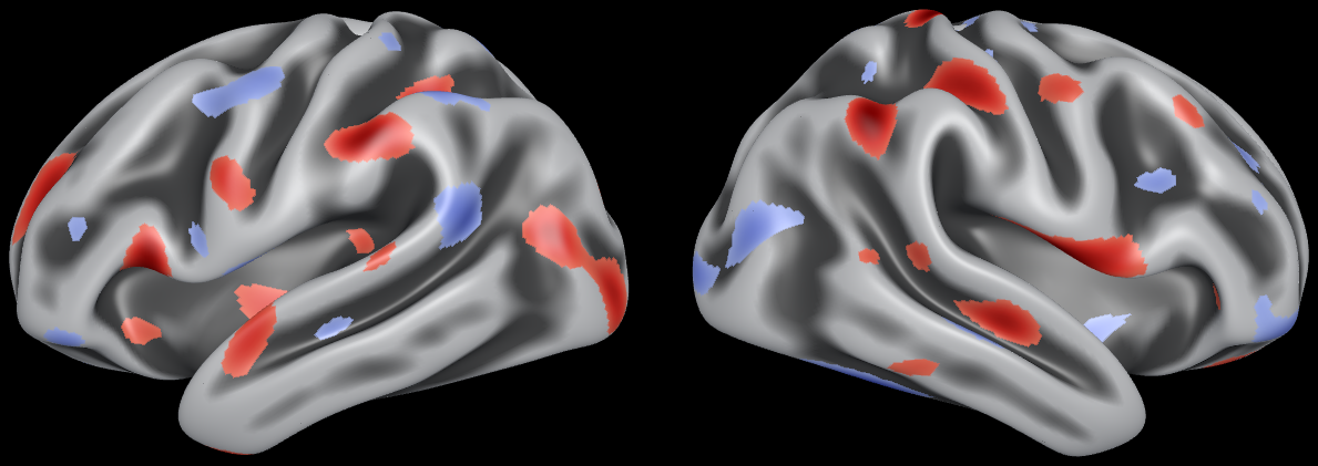 Lateral views of the left and right inflated fs_LR hemispheres on black, with a thresholded simulated statistic map: positive values in red, negative in blue, on grey sulcal shading